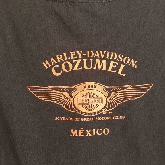 HARLEY DAVIDSON STUDDED GRAPHIC T-SHIRT IN BLACK - Picture 7 of 8